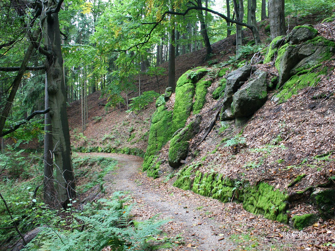 Karlovy Vary